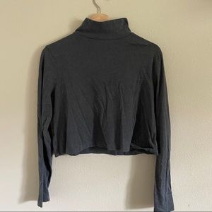 Wild Fable Cropped Turtle Neck